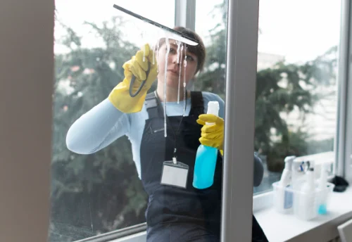 Nettoyage de vitres intérieures et extérieures à Larressingle